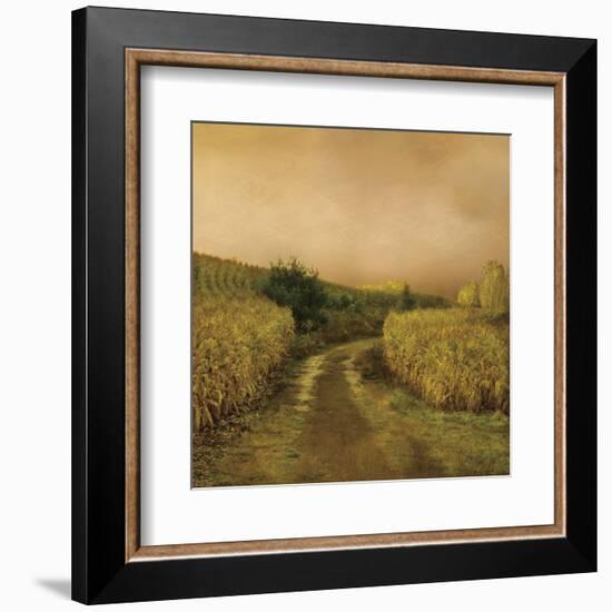 Sunset Cornfield-Dawne Polis-Framed Art Print