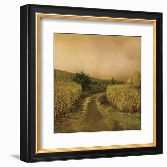 Sunset Cornfield-Dawne Polis-Framed Art Print