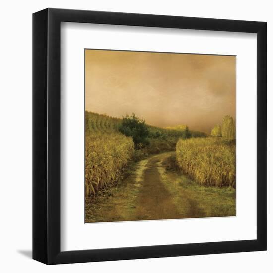 Sunset Cornfield-Dawne Polis-Framed Art Print