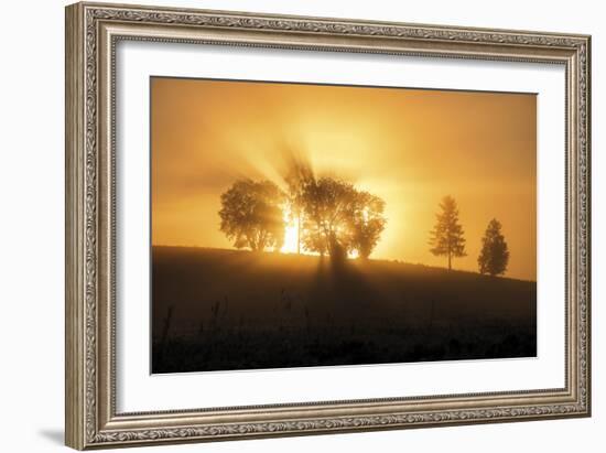 Sunset Crescendo-Andreas Stridsberg-Framed Giclee Print