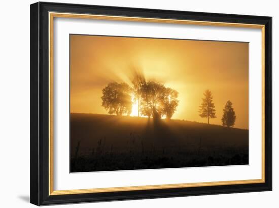 Sunset Crescendo-Andreas Stridsberg-Framed Giclee Print