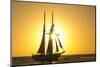 Sunset Cruise Schooner in Key West Florida, USA-Chuck Haney-Mounted Photographic Print