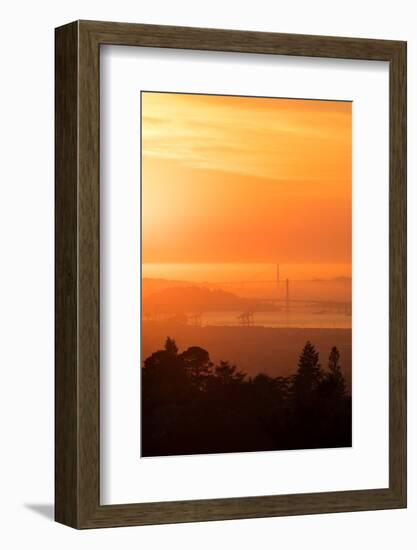 Sunset Drenched Bay Area Bay Bridge Golden Gate San Francisco Bay-Vincent James-Framed Photographic Print