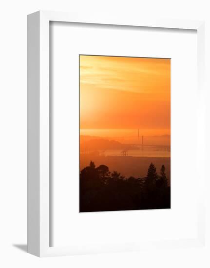 Sunset Drenched Bay Area Bay Bridge Golden Gate San Francisco Bay-Vincent James-Framed Photographic Print