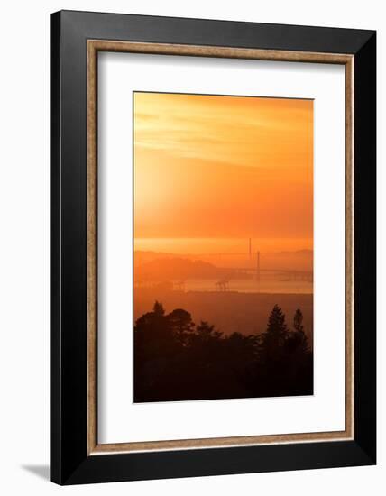 Sunset Drenched Bay Area Bay Bridge Golden Gate San Francisco Bay-Vincent James-Framed Photographic Print