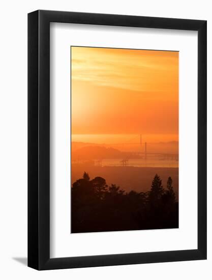 Sunset Drenched Bay Area Bay Bridge Golden Gate San Francisco Bay-Vincent James-Framed Photographic Print