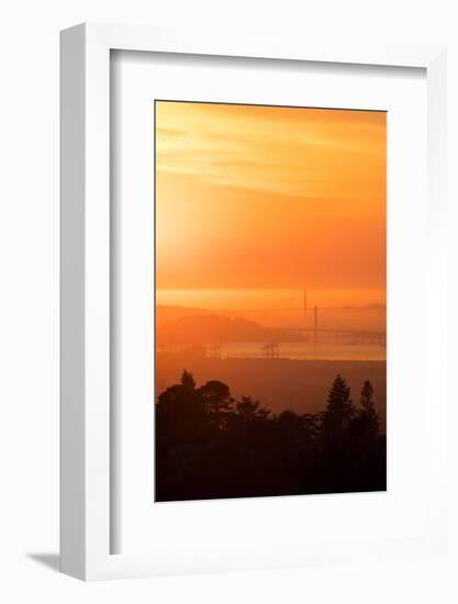 Sunset Drenched Bay Area Bay Bridge Golden Gate San Francisco Bay-Vincent James-Framed Photographic Print