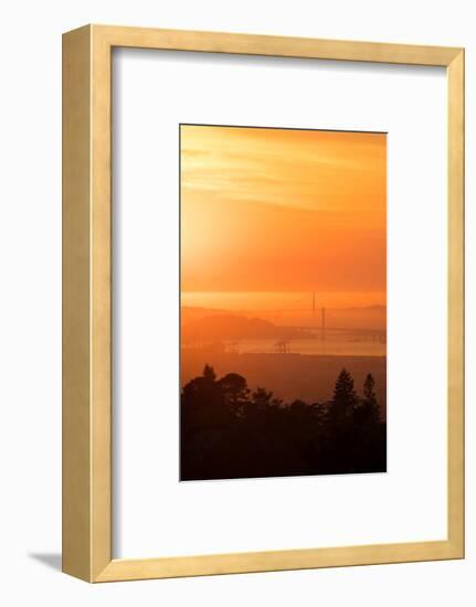 Sunset Drenched Bay Area Bay Bridge Golden Gate San Francisco Bay-Vincent James-Framed Photographic Print