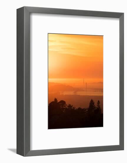 Sunset Drenched Bay Area Bay Bridge Golden Gate San Francisco Bay-Vincent James-Framed Photographic Print