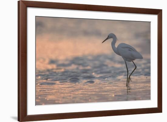 Sunset Fishing-Wink Gaines-Framed Giclee Print