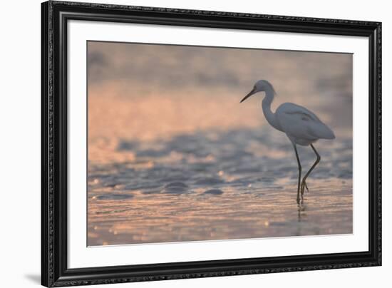 Sunset Fishing-Wink Gaines-Framed Giclee Print