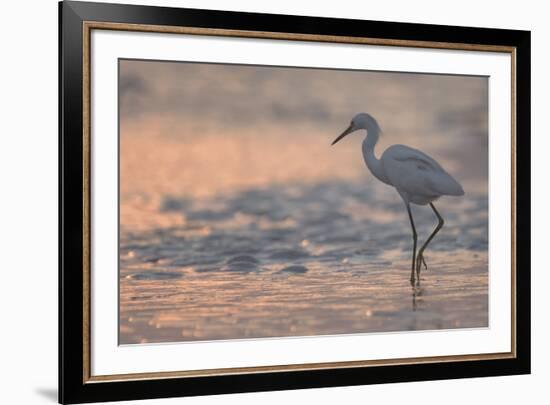 Sunset Fishing-Wink Gaines-Framed Giclee Print