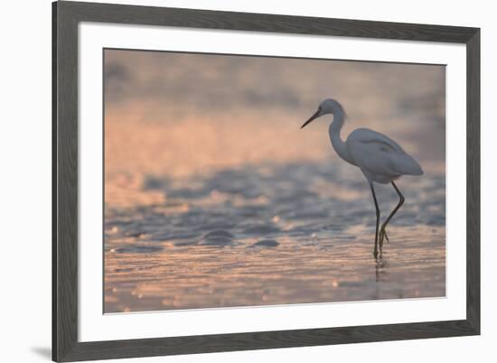 Sunset Fishing-Wink Gaines-Framed Giclee Print