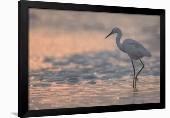 Sunset Fishing-Wink Gaines-Framed Giclee Print