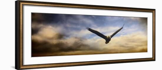 Sunset Flight-Jai Johnson-Framed Giclee Print