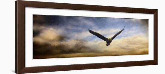 Sunset Flight-Jai Johnson-Framed Giclee Print