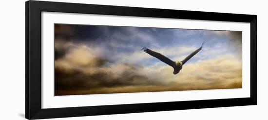 Sunset Flight-Jai Johnson-Framed Giclee Print