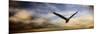 Sunset Flight-Jai Johnson-Mounted Giclee Print