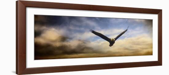 Sunset Flight-Jai Johnson-Framed Giclee Print