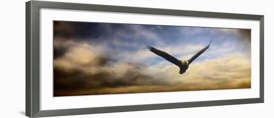 Sunset Flight-Jai Johnson-Framed Giclee Print