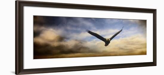 Sunset Flight-Jai Johnson-Framed Giclee Print