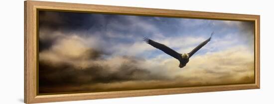 Sunset Flight-Jai Johnson-Framed Premier Image Canvas