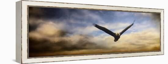 Sunset Flight-Jai Johnson-Framed Premier Image Canvas