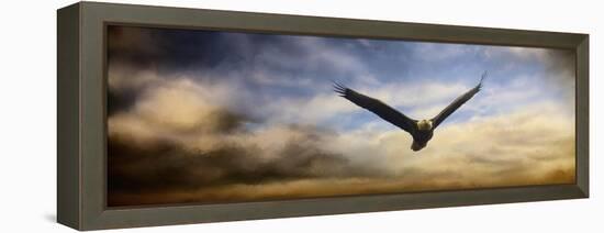 Sunset Flight-Jai Johnson-Framed Premier Image Canvas