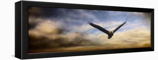 Sunset Flight-Jai Johnson-Framed Premier Image Canvas