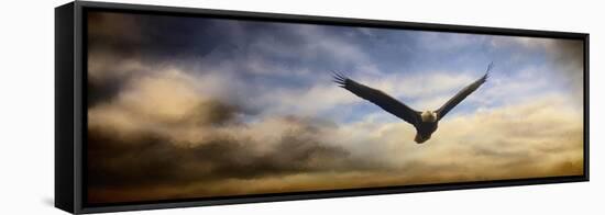 Sunset Flight-Jai Johnson-Framed Premier Image Canvas