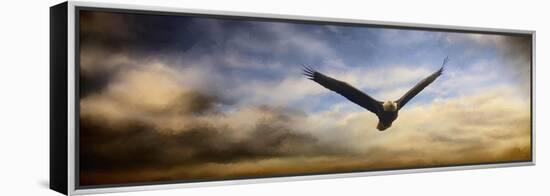 Sunset Flight-Jai Johnson-Framed Premier Image Canvas