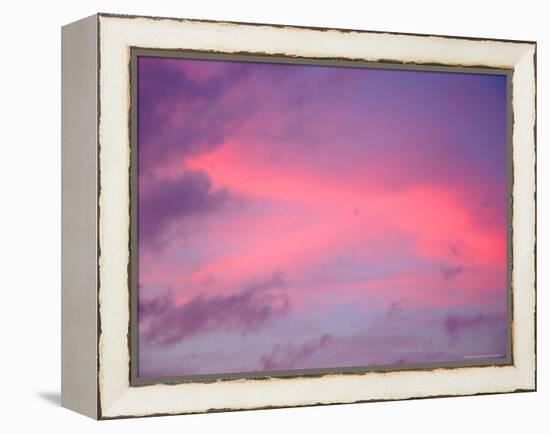 Sunset, Florida, USA-Lisa S. Engelbrecht-Framed Premier Image Canvas