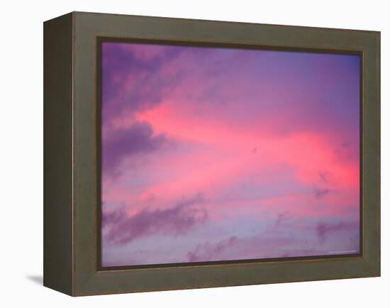 Sunset, Florida, USA-Lisa S. Engelbrecht-Framed Premier Image Canvas