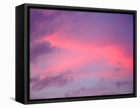 Sunset, Florida, USA-Lisa S. Engelbrecht-Framed Premier Image Canvas