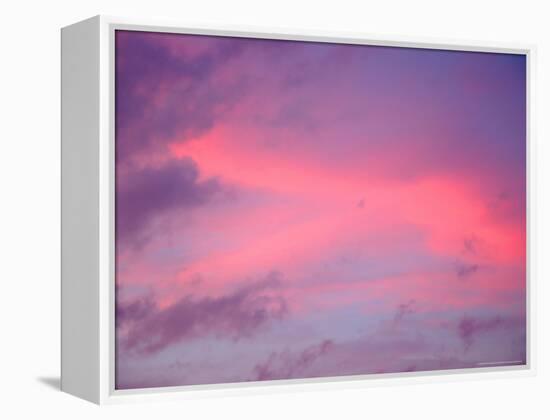 Sunset, Florida, USA-Lisa S. Engelbrecht-Framed Premier Image Canvas