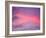 Sunset, Florida, USA-Lisa S. Engelbrecht-Framed Photographic Print