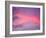 Sunset, Florida, USA-Lisa S. Engelbrecht-Framed Photographic Print