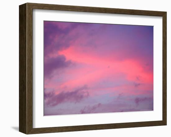 Sunset, Florida, USA-Lisa S. Engelbrecht-Framed Photographic Print