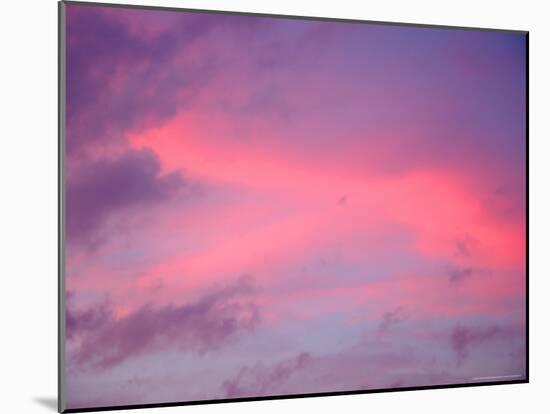 Sunset, Florida, USA-Lisa S. Engelbrecht-Mounted Photographic Print