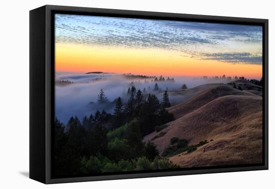 Sunset Flow and Hills at Mount Tamalpais, Marin, Bay Area, California-Vincent James-Framed Premier Image Canvas