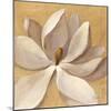 Sunset Flower I on Gold-Silvia Vassileva-Mounted Art Print