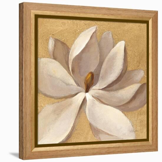 Sunset Flower I on Gold-Silvia Vassileva-Framed Stretched Canvas