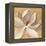 Sunset Flower I on Gold-Silvia Vassileva-Framed Stretched Canvas