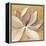 Sunset Flower I on Gold-Silvia Vassileva-Framed Stretched Canvas