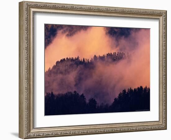 Sunset Fog in Valley, Morton Overlook, Great Smoky Mountains National Park, Tennessee, USA-Adam Jones-Framed Photographic Print