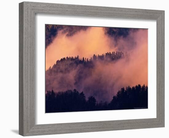 Sunset Fog in Valley, Morton Overlook, Great Smoky Mountains National Park, Tennessee, USA-Adam Jones-Framed Photographic Print