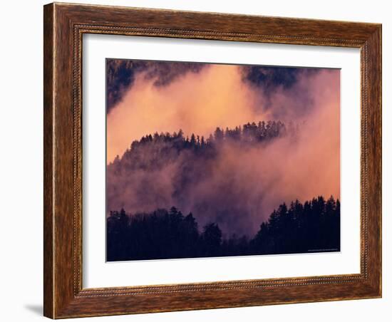 Sunset Fog in Valley, Morton Overlook, Great Smoky Mountains National Park, Tennessee, USA-Adam Jones-Framed Photographic Print