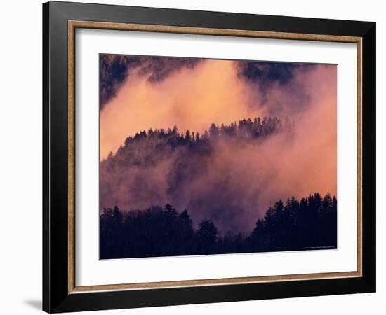 Sunset Fog in Valley, Morton Overlook, Great Smoky Mountains National Park, Tennessee, USA-Adam Jones-Framed Photographic Print