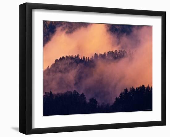 Sunset Fog in Valley, Morton Overlook, Great Smoky Mountains National Park, Tennessee, USA-Adam Jones-Framed Photographic Print