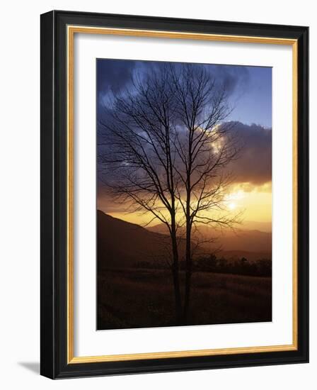 Sunset from Appalachian Trail, Shenandoah National Park, Virginia, USA-Charles Gurche-Framed Photographic Print